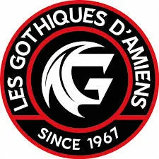 Les Gothiques d'Amiens